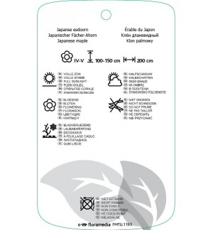 Etichette di Acer palmatum ‘Crimson Queen’ *