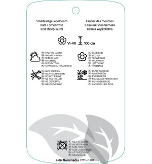 Etichette di Kalmia angustifolia ‘Rubra’ *