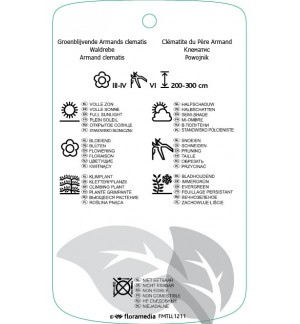 Etichette di Clematis armandii *