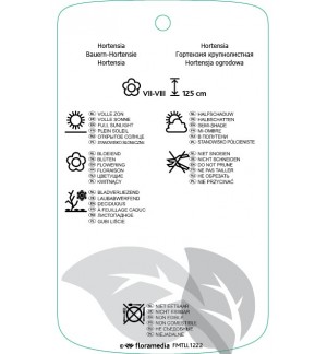 Etichette di Hydrangea macrophylla ‘Rotkehlchen’ *
