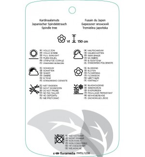 Etichette di Euonymus japonicus ‘Green Spire’ *