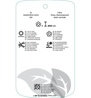 Etichette di Fraxinus excelsior *