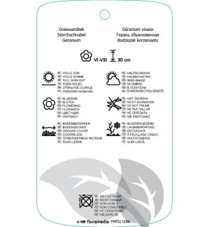Etichette di Geranium macrorrhizum ‘Ingwersen’ *