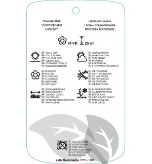 Etichette di Geranium macrorrhizum ‘Spessart’ *