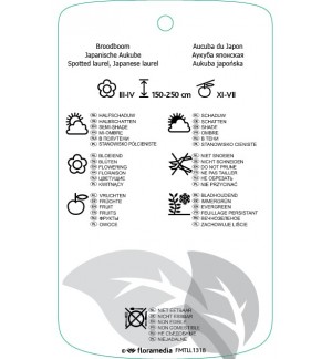 Etichette di Aucuba japonica ‘Crotonifolia’ *