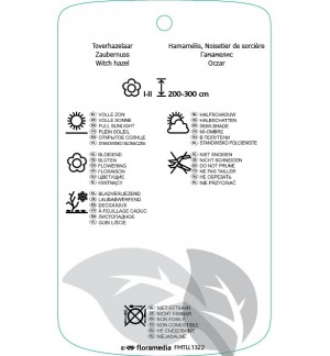 Etichette di Hamamelis geel *