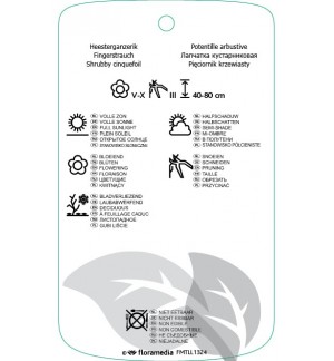 Etichette di Potentilla fruticosa  geel *