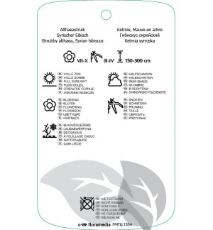 Etichette di Hibiscus syriacus  rood *