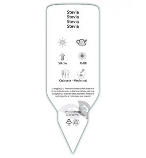 Etiquetas de Stevia