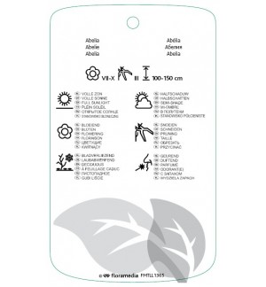 Etichette di Abelia ‘Edward Goucher’ *