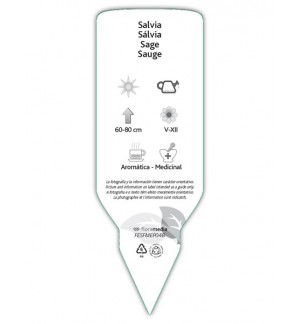 Etiquetas de Salvia
