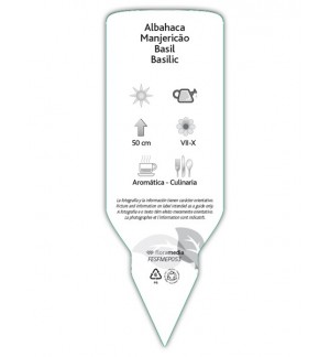 Etiquetas de Albahaca
