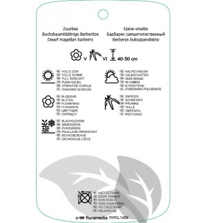 Etichette di Berberis buxifolia ‘Nana’ *