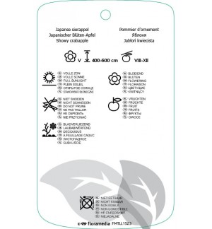 Etichette di Malus floribunda *
