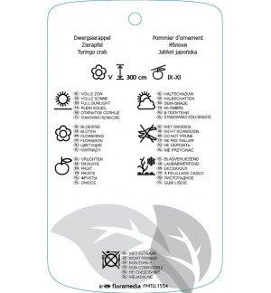 Etichette di Malus toringo var. sargentii *