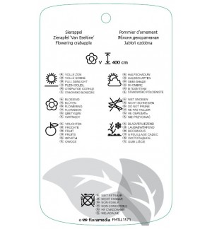 Etichette di Malus ‘Van Eseltine’ *