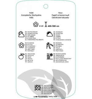 Etichette di Ilex aquifolium *