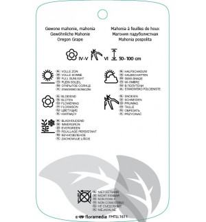 Etichette di Mahonia aquifolium *