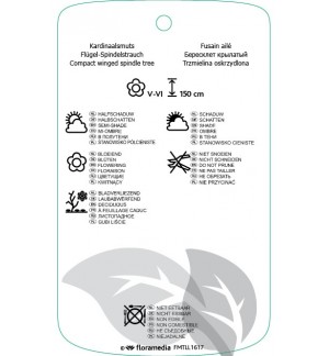 Etichette di Euonymus alatus ‘Compactus’ *