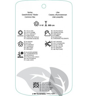 Etichette di Syringa vulgaris ‘Miss Ellen Willmott’ *