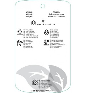 Etichette di Weigela ‘Styriaca’ *