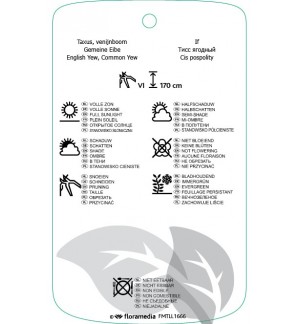 Etichette di Taxus baccata  struik *