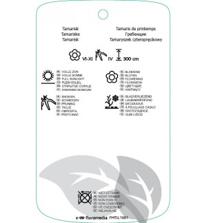 Etichette di Tamarix tetrandra *