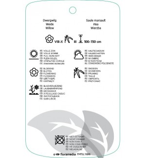 Etichette di Salix bockii *