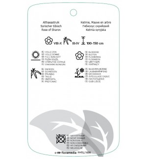 Etichette di Hibiscus syriacus ‘Helene’ *