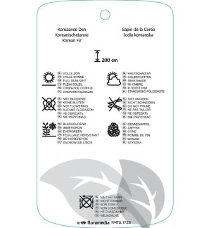 Etichette di Abies koreana ‘Silberlocke’ *