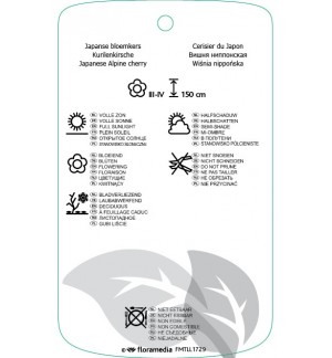 Etichette di Prunus nipponica ‘Brillant’ *