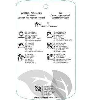 Etichette di Buxus sempervirens  vormen *