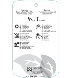 Etichette di Juniperus scopulorum ‘Blue Arrow’ *