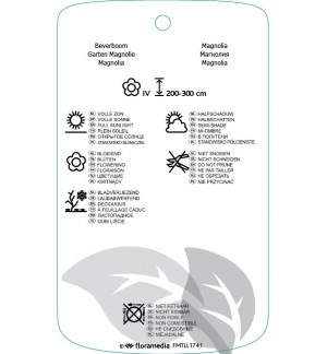 Etichette di Magnolia ‘Ricki’ *
