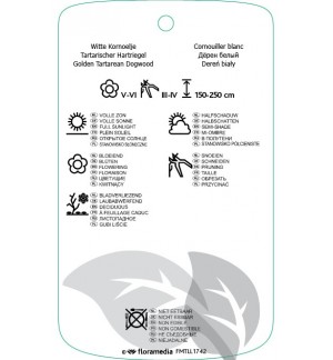 Etichette di Cornus alba ‘Aurea’ *