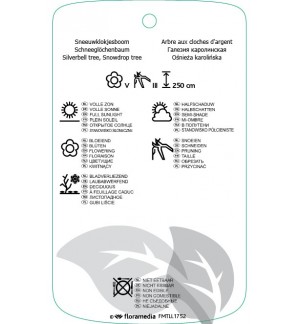 Etichette di Halesia carolina *