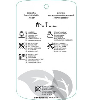 Etichette di Juniperus communis ‘Green Carpet’ *