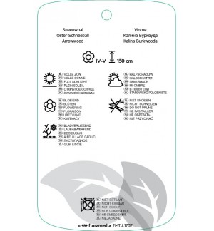 Etichette di Viburnum xburkwoodii ‘Anne Russell’ *