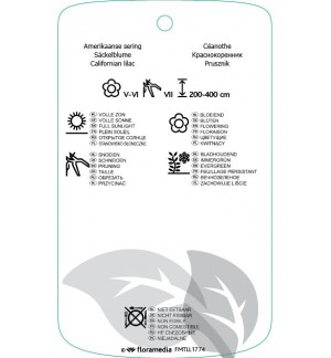 Etichette di Ceanothus ‘Cascadi’ *