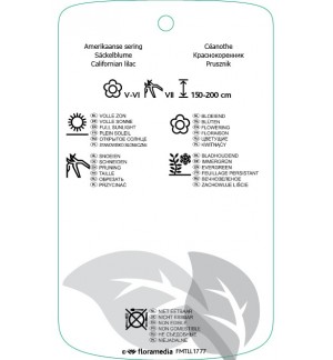Etichette di Ceanothus thyrsiflorus ‘Skylark’ *
