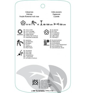 Etichette di Cistus xpurpureus *