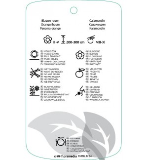 Etichette di xCitrofortunella microcarpa *