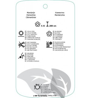 Etichette di Citrus clementina *