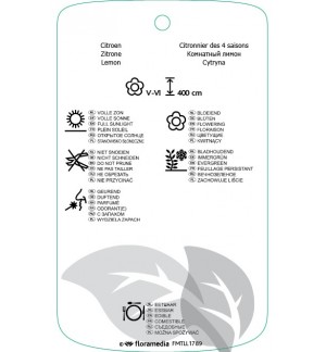 Etichette di Citrus x limon of 4 seasons *