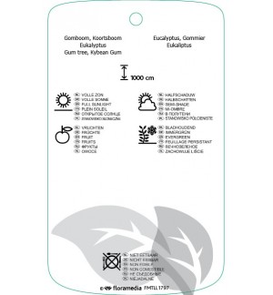 Etichette di Eucalyptus parvifolia *