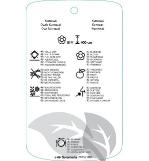 Etichette di Fortunella margarita *