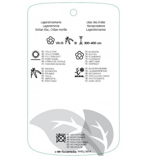 Etichette di Lagerstroemia  paars *