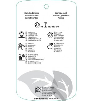 Etichette di Nandina domestica *