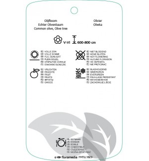 Etichette di Olea *