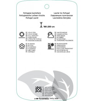 Etichette di Prunus lusitanica *